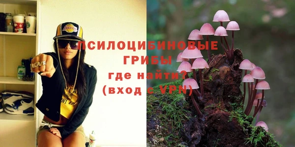 мдпв Белокуриха