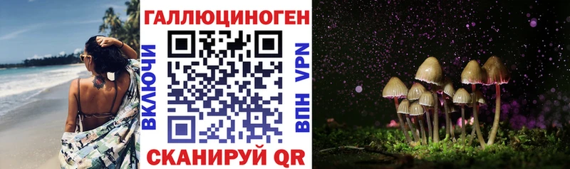 Псилоцибиновые грибы Psilocybine cubensis  Хотьково 